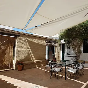 Lince Spanje